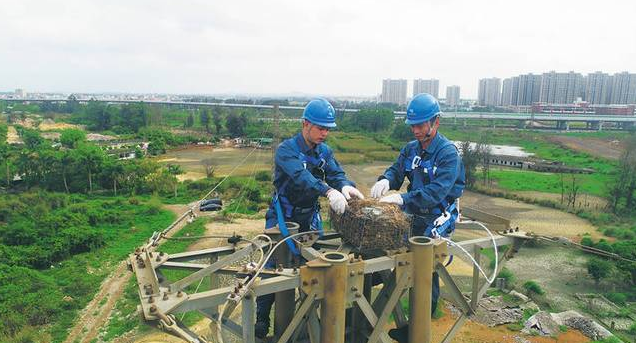 保護(hù)生態(tài)和諧共生，IKAR防墜器出一份力！